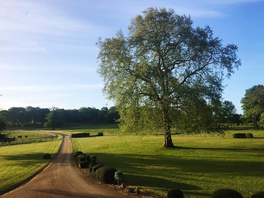 Hotel Haras De La Potardiere Crosmieres Luaran gambar