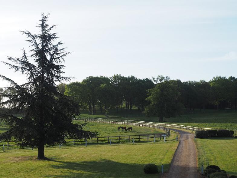 Hotel Haras De La Potardiere Crosmieres Luaran gambar